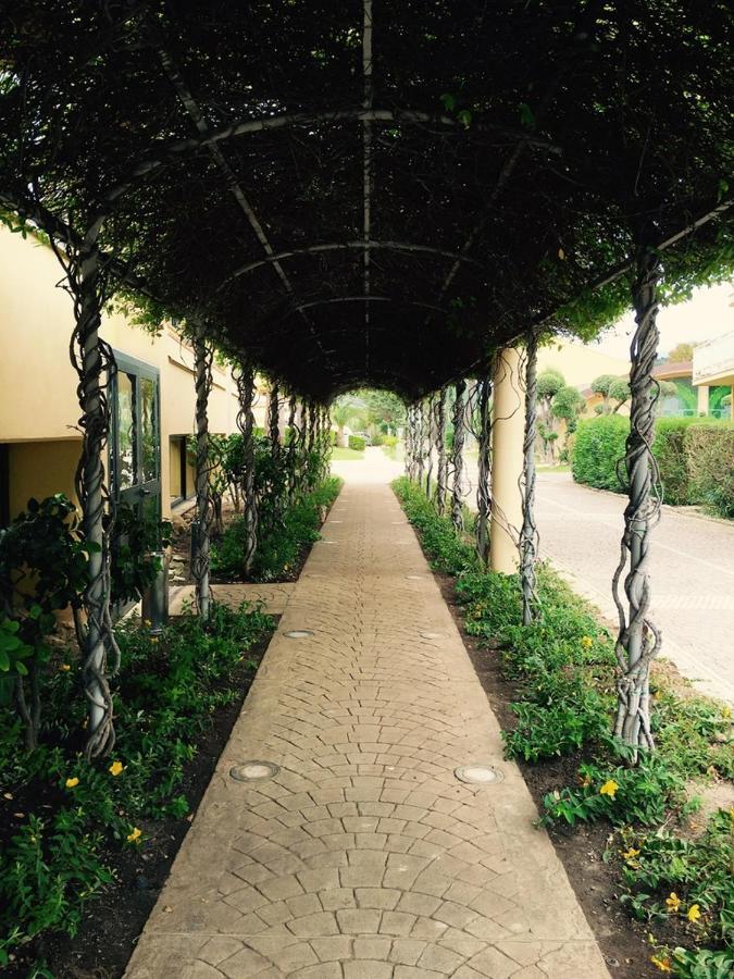 Hotel La Principessa Amantea Dış mekan fotoğraf